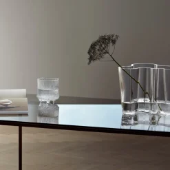 Iittala Alvar Aalto duo vaas, helder< Vazen