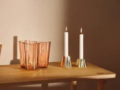 Iittala Alvar Aalto vaas Rio bruin, 160 mm< Vazen