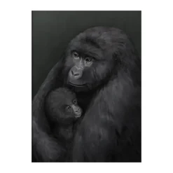 Kunskapstavlan® Bergsgorillan poster, 50x70 cm< Posters