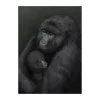Kunskapstavlan® Bergsgorillan poster, 30x40 cm< Posters