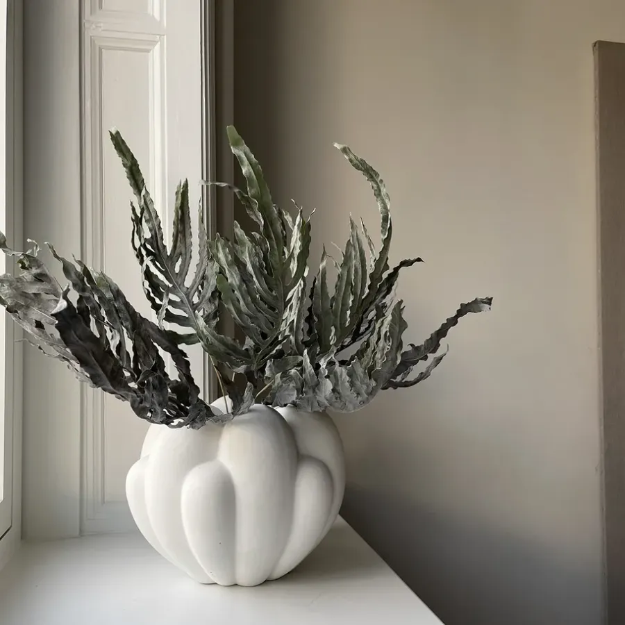 101 Copenhagen Bloom vaas mini, Bone White< Vazen