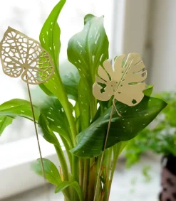 KLONG Brass leaves decoratie 2-pack, Water< Decoratieve Accessoires