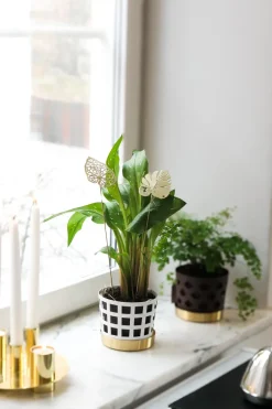 KLONG Brass leaves decoratie 2-pack, Water< Decoratieve Accessoires