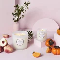 Voluspa Classic Maison Blanc geurkaars 60 uur, Saijo Persimmon< Geurkaarsen & Aroma Diffusers