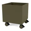 Montana Colour Box I – S6161, Oregano< Kinderkamer Interieuraccessoires|Kinderkamer Interieuraccessoires