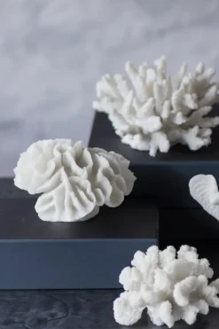 Mette Ditmer Coral branches white, Large< Sculpturen & Porseleinen Beelden