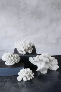 Mette Ditmer Coral branches white, Large< Sculpturen & Porseleinen Beelden