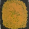 Fine Little Day Dandelion poster 40x50 cm, Geel-zwart< Posters