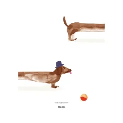 Paper Collective Doug the Dachshund poster, 50x70 cm< Posters|Kinderkamer Interieuraccessoires