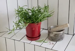 Sagaform Elise kruidenpot Ø11 cm, Bordeauxrood< Kerstdecoraties