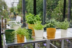 Sagaform Elise kruidenpot Ø11 cm, Geel< Bloempotten
