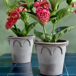 Bergs Potter Elizabeth pot Ø16 cm, Grey< Bloempotten