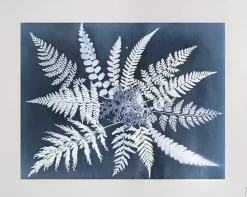 Fine Little Day Fern star poster, 40x50 cm< Posters