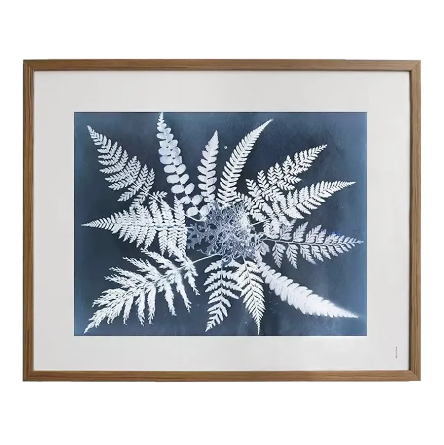 Fine Little Day Fern star poster, 40x50 cm< Posters
