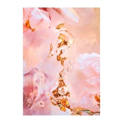 Paper Collective Flora Aquatica 02 poster, 50x70 cm< Posters