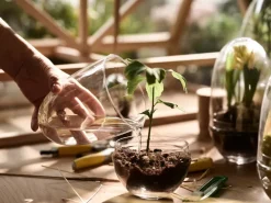 Design House Stockholm Grow kas, Middel Ø11 cm< Bloempotten