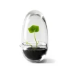 Design House Stockholm Grow kas, small Ø8 cm< Bloempotten