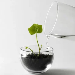 Design House Stockholm Grow kas, small Ø8 cm< Bloempotten