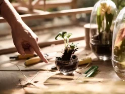 Design House Stockholm Grow kas, small Ø8 cm< Bloempotten