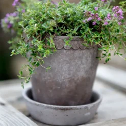 Bergs Potter Helena pot Ø10 cm, Grijs< Bloempotten
