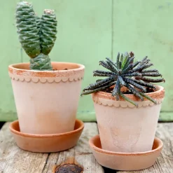 Bergs Potter Helena pot Ø14 cm, Roze< Bloempotten