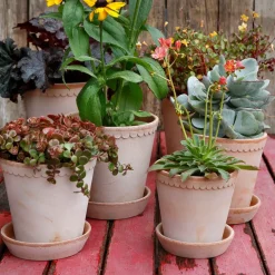 Bergs Potter Helena pot Ø18 cm, Roze< Bloempotten