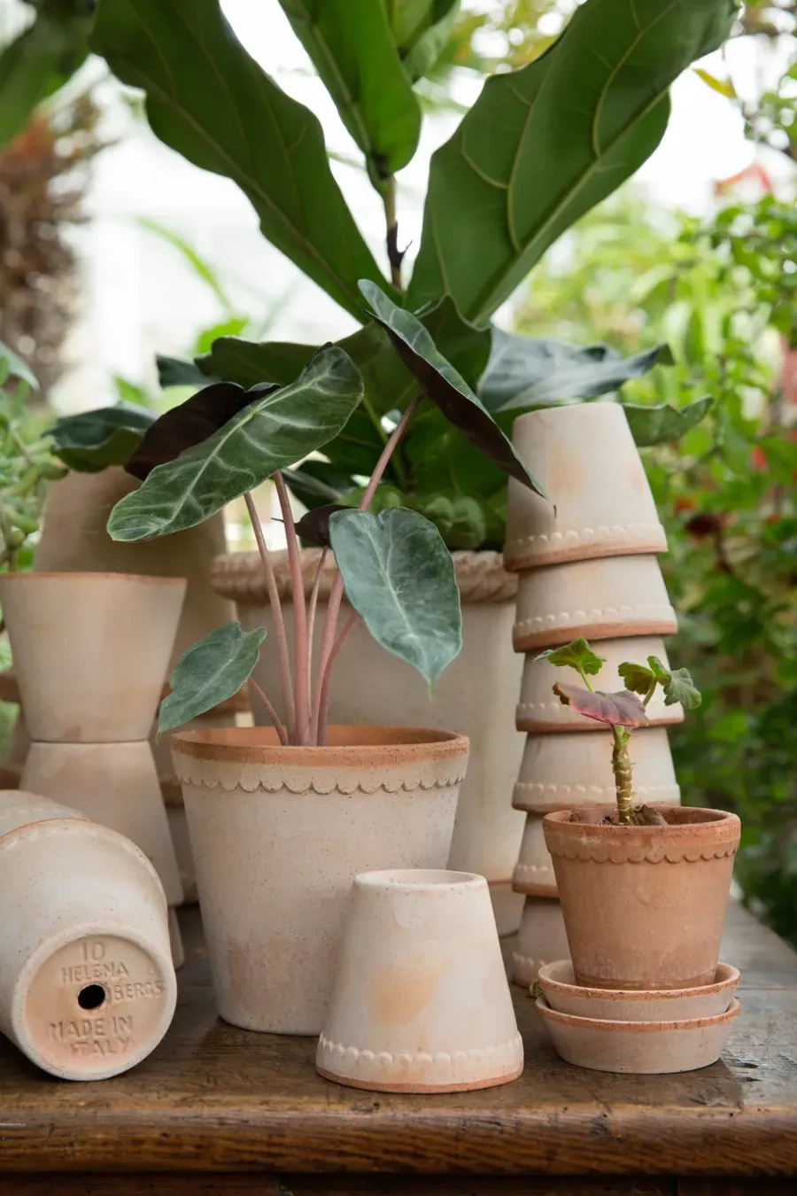 Bergs Potter Helena pot Ø12 cm, Roze< Bloempotten