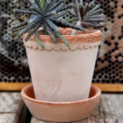 Bergs Potter Helena pot Ø10 cm, Roze< Bloempotten