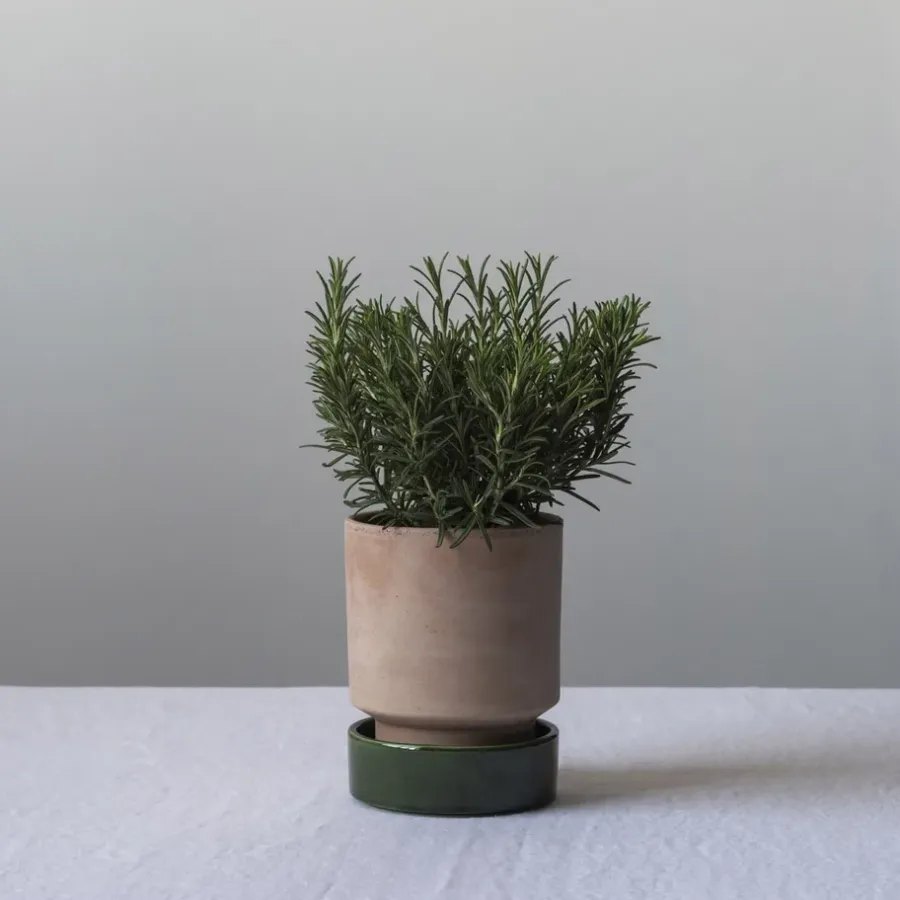 Bergs Potter Hoff pot, Ø16 cm, Raw Rosa-Emerald Green< Bloempotten