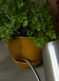 Audo Copenhagen Hydrous bloempot Ø12 cm, Ochre< Vazen