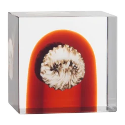 Iittala jaarlijkse kubus, 2026< Glaskunst|Sculpturen & Porseleinen Beelden