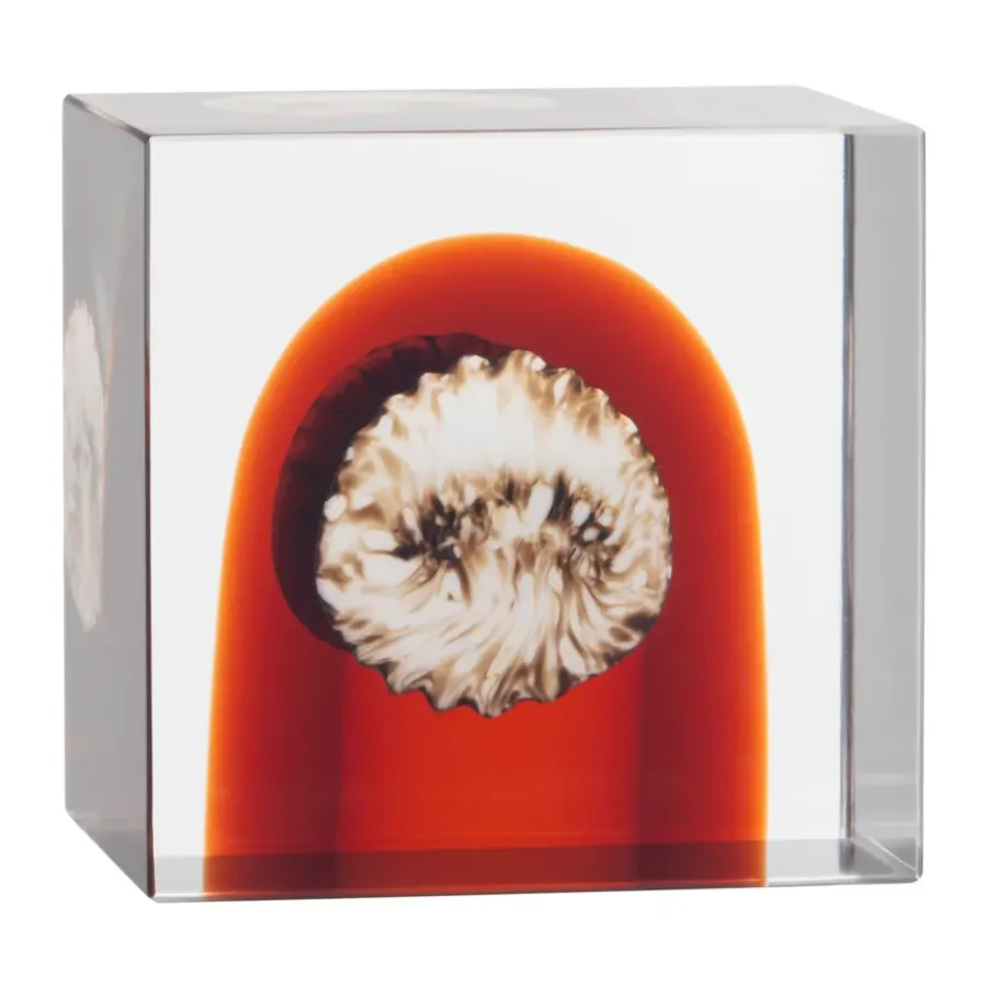 Iittala jaarlijkse kubus, 2026< Glaskunst|Sculpturen & Porseleinen Beelden