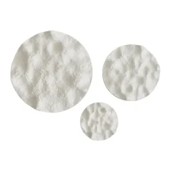 101 Copenhagen Iwa decoratieschaal, Berken, Ø43< Decoratieve Accessoires|Decoratieve Dienbladen