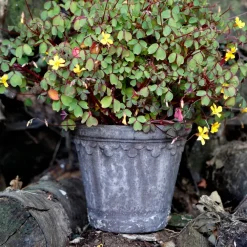 Bergs Potter Københavner pot Ø16 cm, Grijs< Bloempotten