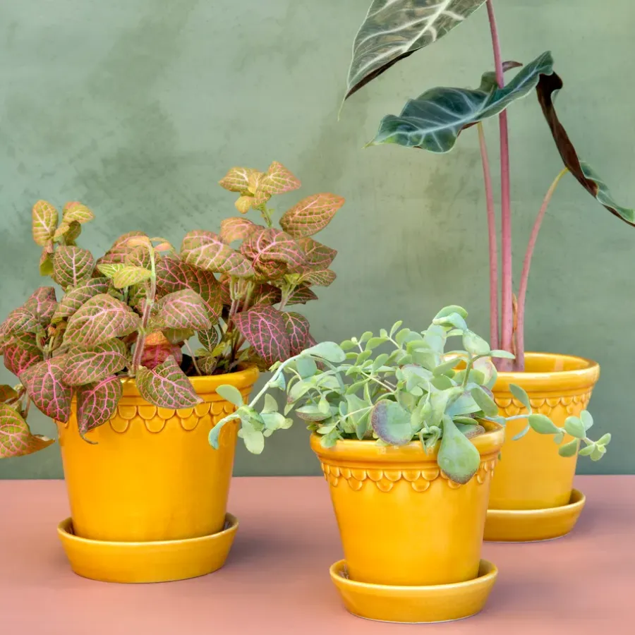 Bergs Potter Københavner pot geglazuurd Ø16 cm, Geel< Bloempotten