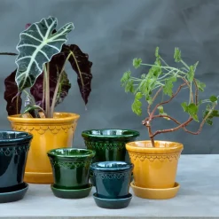 Bergs Potter Københavner pot geglazuurd Ø14 cm, Geel< Bloempotten