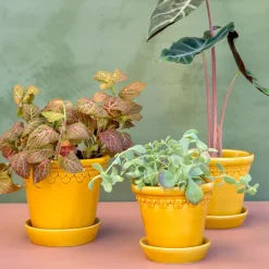 Bergs Potter Københavner pot geglazuurd Ø18 cm, Geel< Bloempotten