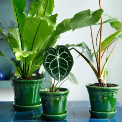 Bergs Potter Københavner pot geglazuurd Ø18 cm, Groen< Bloempotten