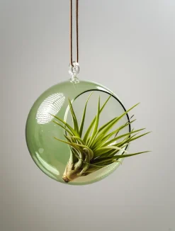 Muurla decoratiebol Ø12 cm, Groen< Paasdecoratie
