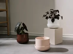 Iittala Nappula pot met schotel Ø17 cm h13 cm, Beige< Bloempotten