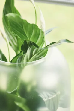 Gejst Nebl bloempot mat glas Ø26 cm, Zwart< Bloempotten