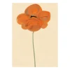 Paper Collective Orange Vallmo poster, 50x70 cm< Posters