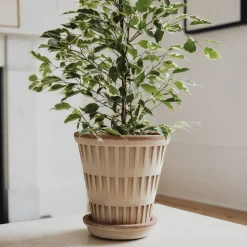 Bergs Potter Pantheon raw bloempot, Rosa, Ø21 cm< Bloempotten