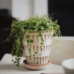 Bergs Potter Pantheon raw bloempot, Rosa, Ø14 cm< Bloempotten