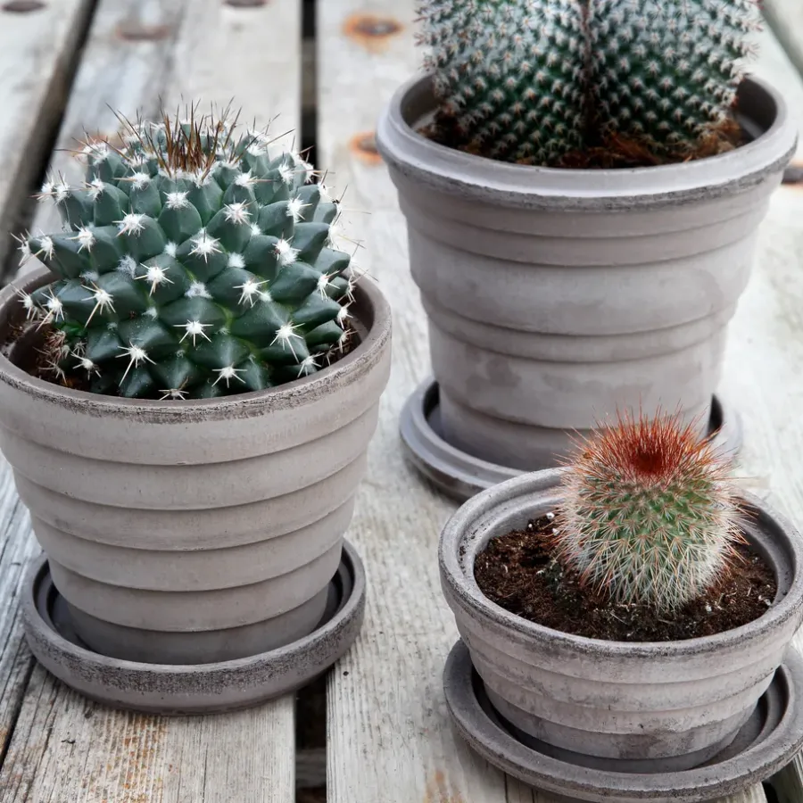 Bergs Potter Planet Saturn pot Ø16 cm, Grijs< Bloempotten