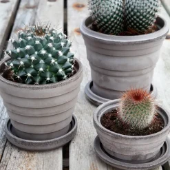 Bergs Potter Planet Venus pot Ø14 cm, Grijs< Bloempotten