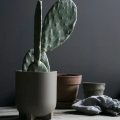 DBKD Plus pot Ø16 cm, Dust< Bloempotten