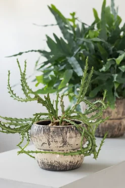Mette Ditmer Raw bloempot Ø17 cm, Off-white< Bloempotten