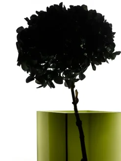Iittala Ruutu vaas 20,5 x 18 cm, mosgroen< Vazen