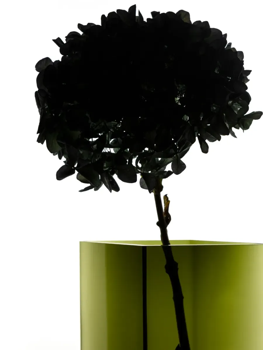 Iittala Ruutu vaas 20,5 x 18 cm, mosgroen< Vazen